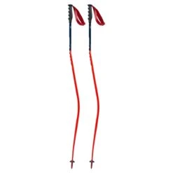 POC || Leki || Head Shop 36 POC || Leki || Head Shop -POC || Leki || Head Shop 20 Swix WC Race Pole DH