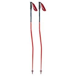Swix WC Pro Aluminum Ski Pole -POC || Leki || Head Shop 20 Swix WC Race Pole GS