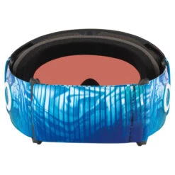 Oakley Flight Deck L Goggles -POC || Leki || Head Shop 2023 Oakley Flight Deck L BLU 3