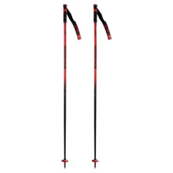 Rossignol Adult Hero Ski Pole -POC || Leki || Head Shop 2023 Rossi HERO SL Poles 1