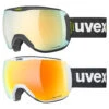 Uvex DH 2100 CV Race Goggles -POC || Leki || Head Shop 2023 Uvex DH 2100 CV Race Goggles